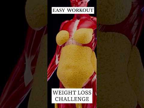 Link In My Profile 10 Proven Weight Loss Tips For A Healthier You Shorts
