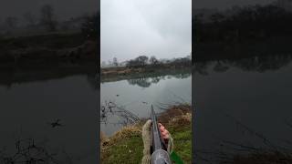 Duck Hunting Season Is Already Over?