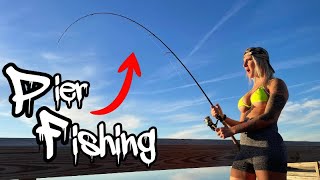 Fishing A Massive Pier For Baitfish To Use For Big Tasty Fish!!! (It Worked!!)