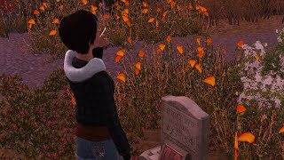 point ouerbacker 🌾gameplay | the sims 3