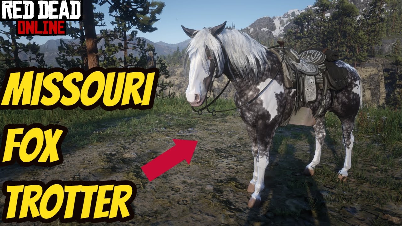 Busk tag Bopæl The Missouri Fox Trotter ! Red Dead Online! [RDR2] - YouTube