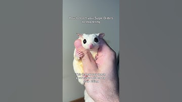 I got all the tips and tricks for you guys🤝