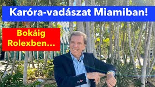 KARÓRA VADÁSZAT MIAMIBAN- Rolex erdőben jártam...