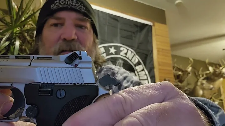 Phoenix arms HP 25cal.