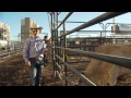 The Ride with Cord McCoy: Cord McCoy at the 2013 ABBI World Finals