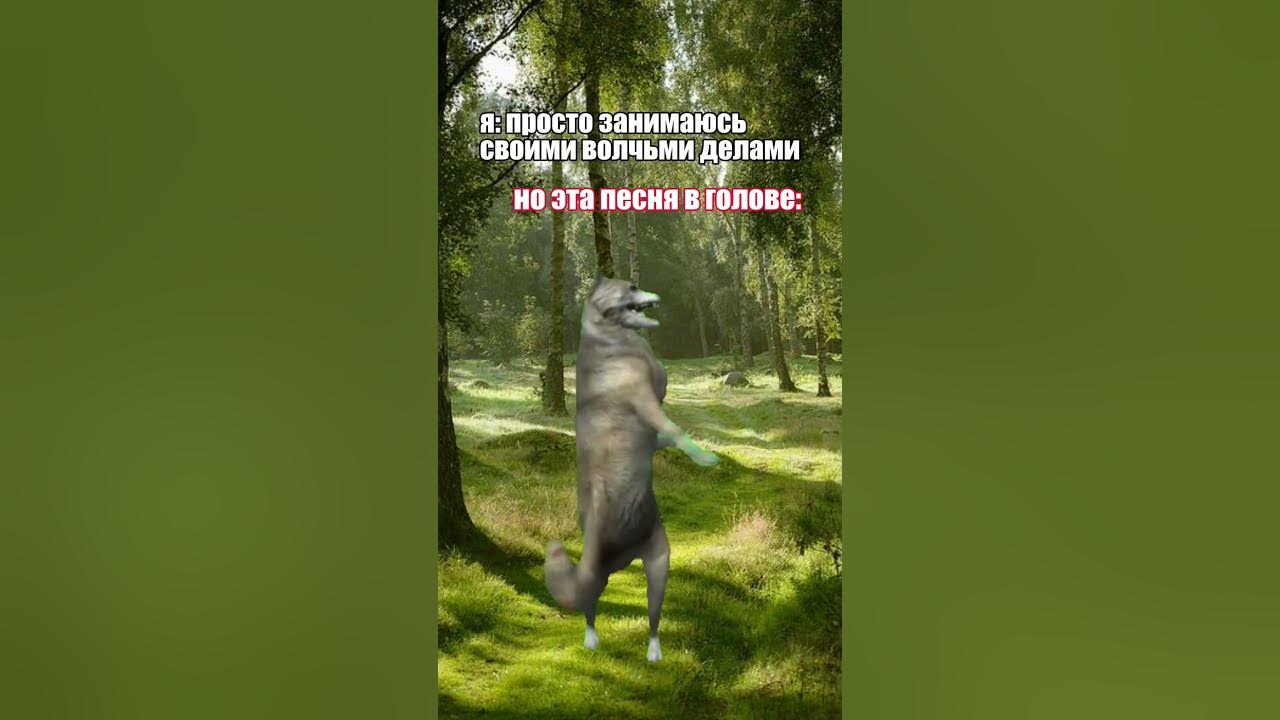 Dance boom сборники. Ихвильнихт песня танец. Dance boom сборники. Ихвильнихт песня танец. Танец волка ихвильнихт.
