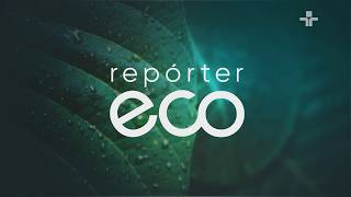 REPÓRTER ECO | 29/03/2026