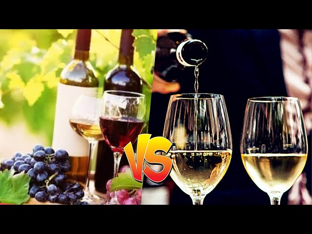 Yarra Valley Wine versus French Wine || Who Wins?