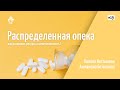 #19 Распределенная опека: как разделить ресурсы и ответственность? | Безьянова | Костылева