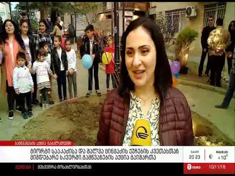 ნაძალადევში გამწვანების აქცია მოეწყო