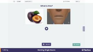 Naming Single Nouns - Tactus Virtual Rehab Center (Aphasia Therapy: Speech Therapy for Word-Finding)