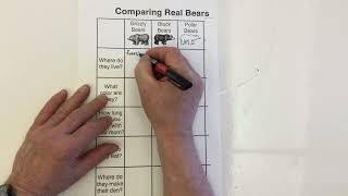 Comparing Real Bears
