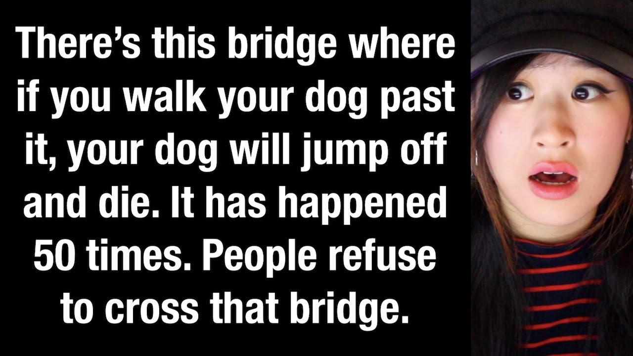 Creepy Urban Legend Stories To Keep You Up