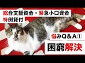 総合支援資金・緊急小口資金 コロナ特例貸付 よくある間違いと知っておくべき事実①【Q&A１５選・第２波までに困窮解決】住民税非課税世帯・世帯分離・社協・厚労省 最新情報