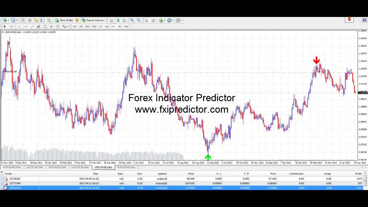 Forex Indicator Predictor Live account Earnings Proof