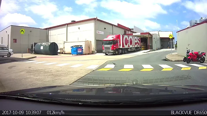 Bird Uses Crosswalk || ViralHog