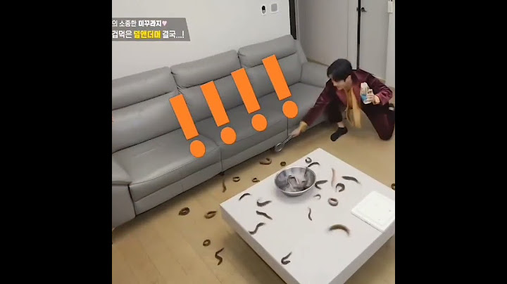 lmaooo show: stars top recipe at fun-staurent ep 268-1 #kdrama #kpop #fyp #trending #youtubeshorts