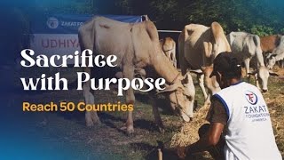 Qurbani 2025: An Eid Message from Executive Director Halil Demir