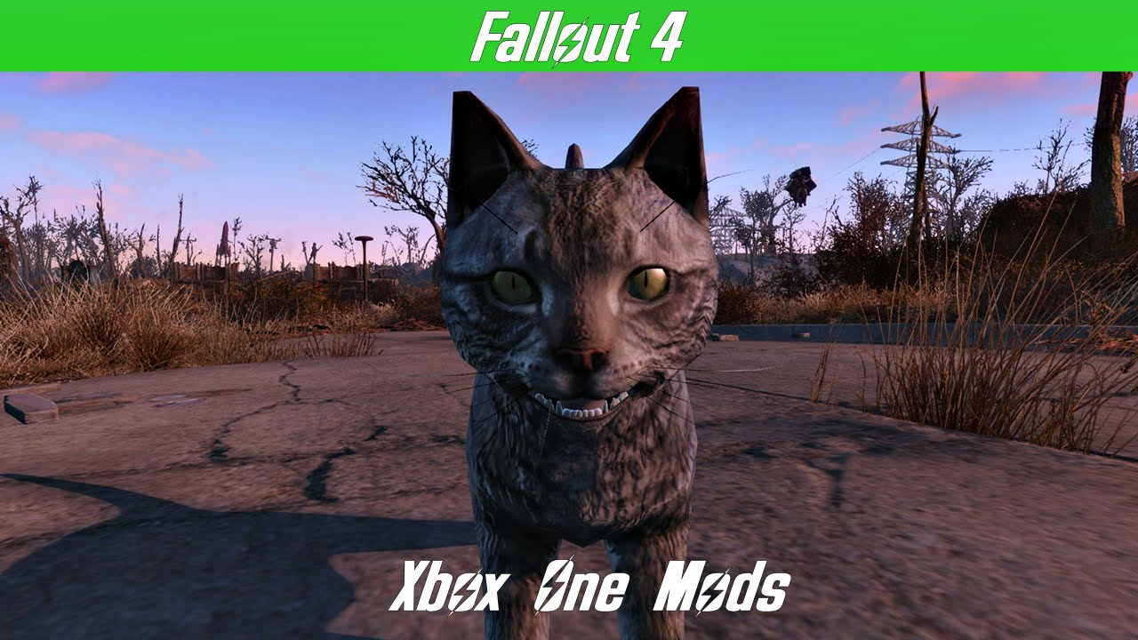 There Is NO Catmeat | Fallout 4 XBOX One Mods