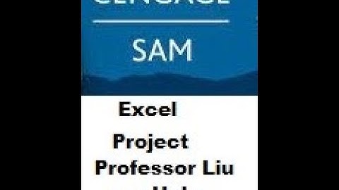 SAM Excel 18 Module 2
