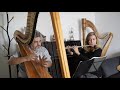 A Whole New World - Aladdin / Cover arpa y flauta