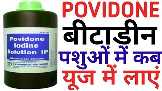 Povidone Iodine Solution Uses Animal/बीटाडीन पशुओं में कैसे इस्तेमाल करें/Intrauterine Injection Cow