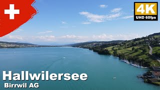 Hallwilersee, Birrwil AG, Switzerland | 4K 60fps
