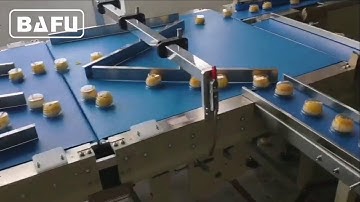 cake packaging machine,bread packaging machine,biscuit packaging machine,flow wrapper,flow-pack