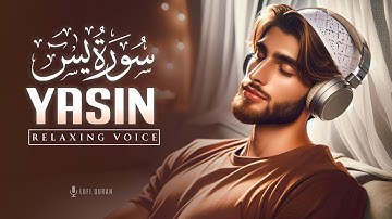 Surah Yaseen - Yasin  سورة يس  | BEST SOUL TOUCHING VOICE | Surah Yasin LofiQuran #surahyasin