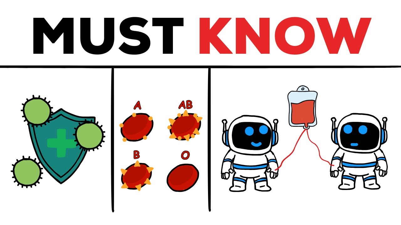 What Your Blood Type Reveals About You