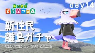 【あつ森】14日目 |新住民離島ガチャってこ【 Vtuber #ぽた犬】