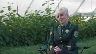 Новый фильм Министерства лесного хозяйства Республики Беларусь - про различные лесные профессии