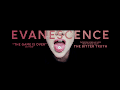Evanescence Live Stream
