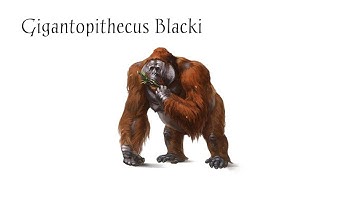Gigantopithecus blacki Sound – Voice of the Ancient Giant Ape