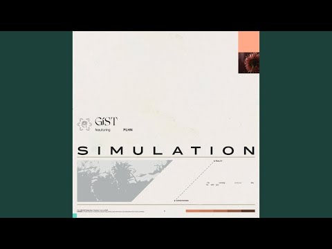 SIMULATION (Feat. PLHN)