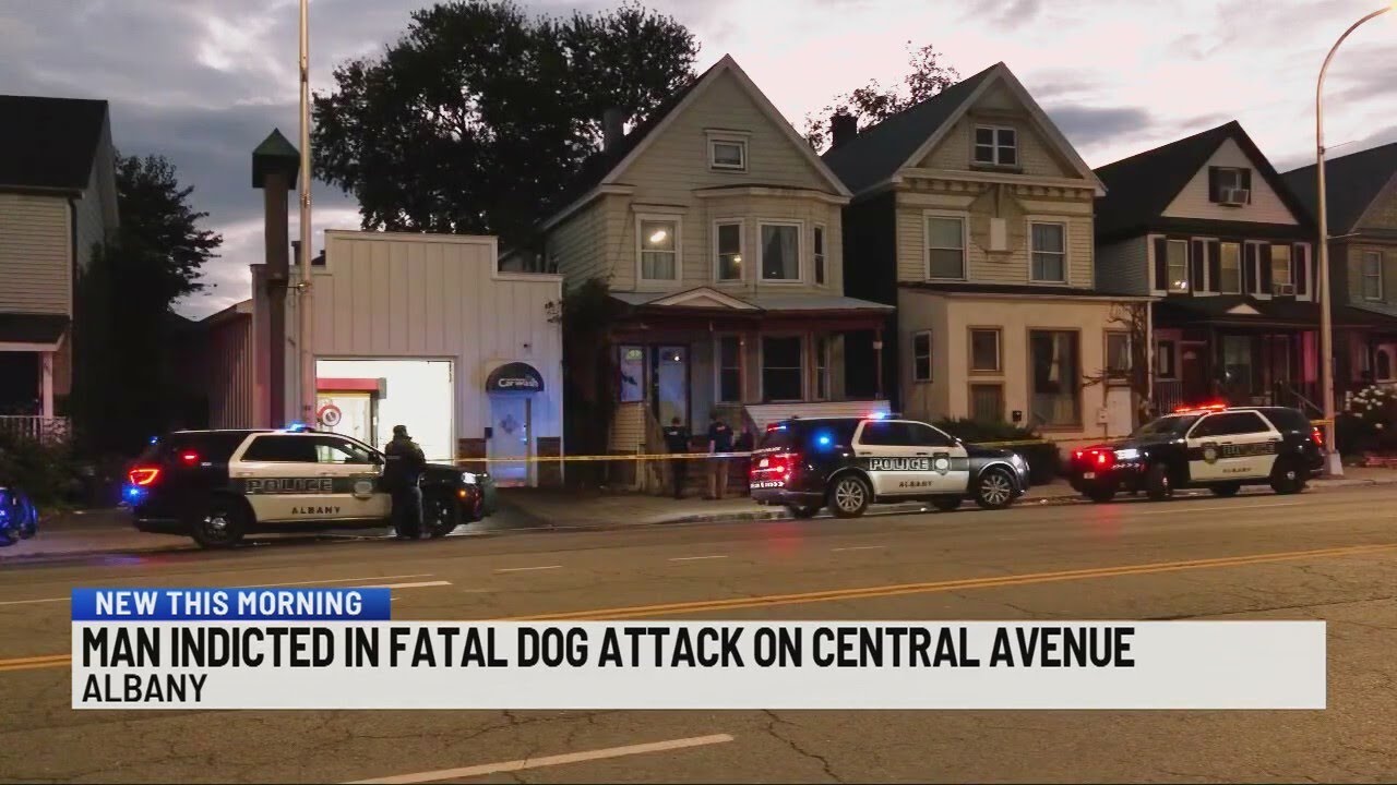 Man indicted in fatal dog attack on Central Avenue - YouTube