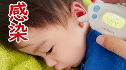 二か月のパパ Youtube