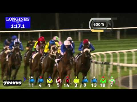 2016年3月26日　ドバイターフ（メイダン競馬場・芝1800m） GI　優勝　リアルスティール