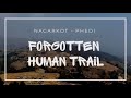 Walk on forgotten human trail  sara