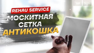 Обзор москитная сетка АНТИКОШКА (краш-тест)