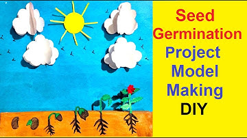 seed germination project model 3d making | diy  | science model | best out of waste | howtofunda
