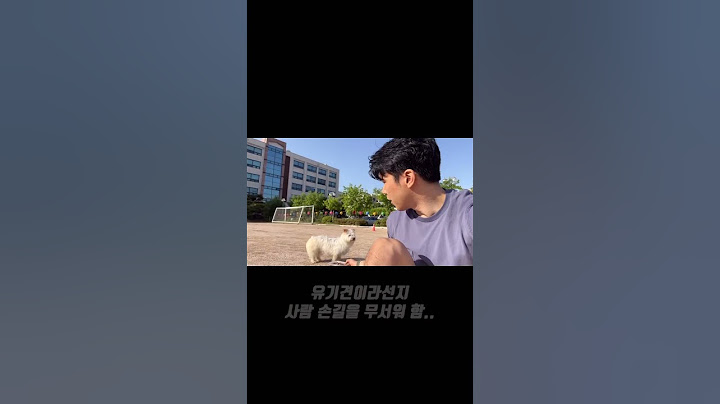 입양 첫날부터 탈출 Vlog