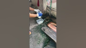 Tẩy rêu mốc trên nền xi măng thật đơn giản