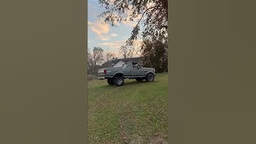 Hurricane Michael redneck tree removal