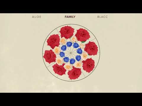 Aloe Blacc - Family (Official Audio Visualizer)