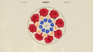 Aloe Blacc - Family (Official Audio Visualizer)