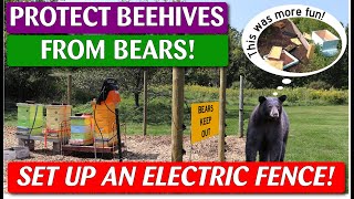 How To Protect Beehives From Bears With An Electric Fence