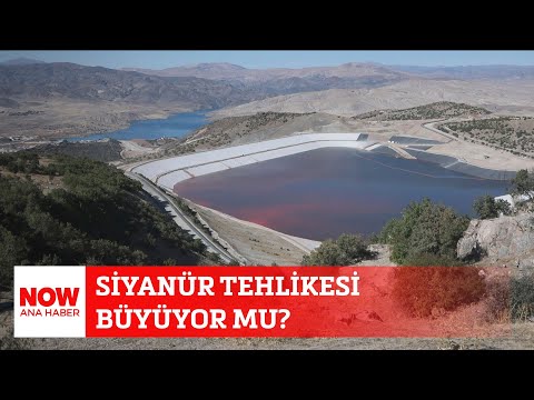 Siyanür tehlikesi büyüyor mu? 14 Şubat 2024 Selçuk Tepeli ile NOW Ana Haber