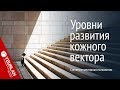 Уровни развития кожного вектора. Системно-векторная психология. Юрий Бурлан