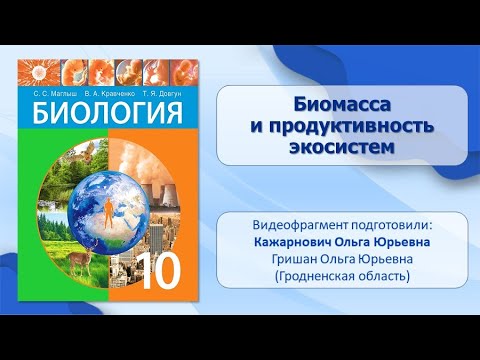 Тема 41. Биомасса и продуктивность экосистем